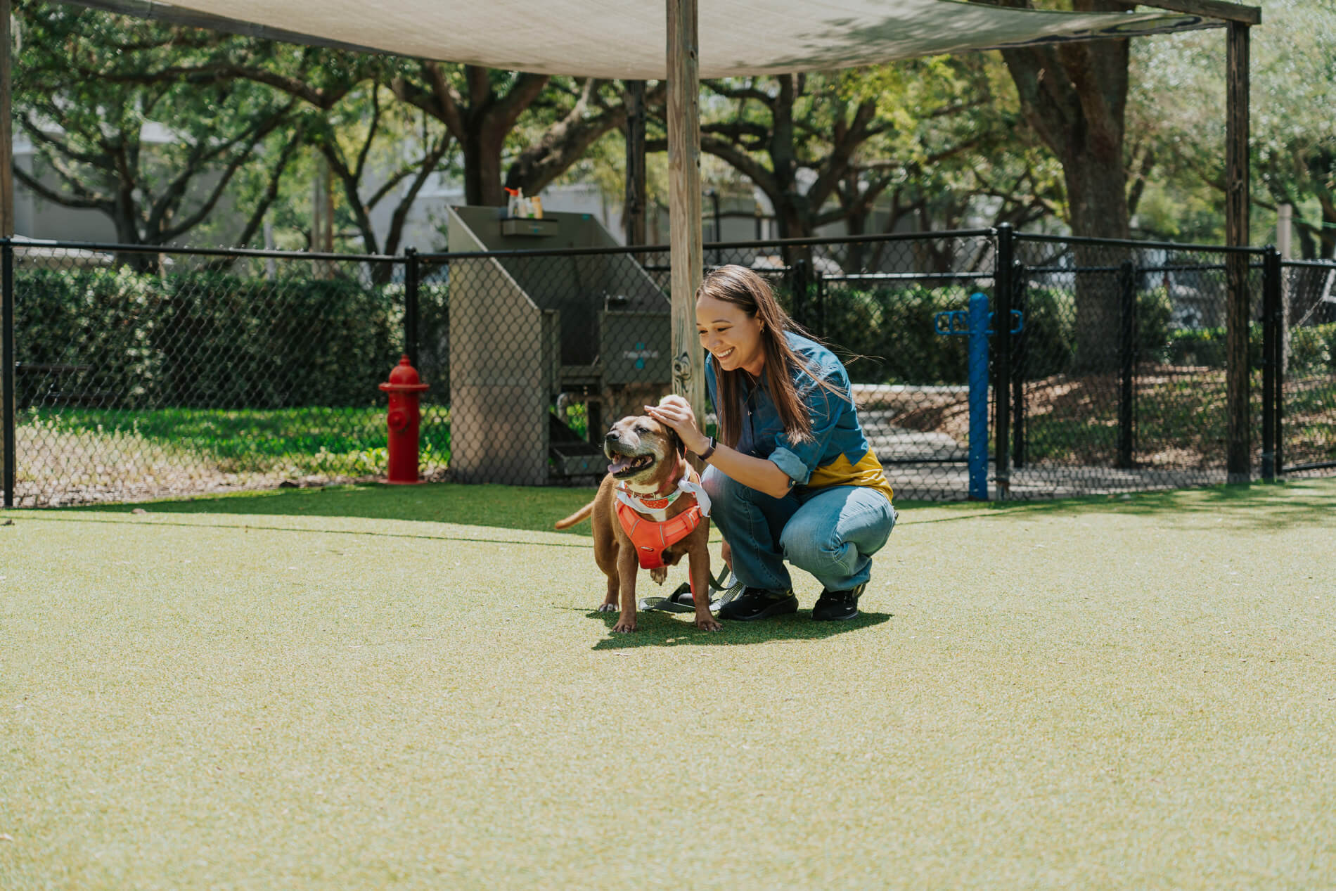Arbors At Maitland woman plays with a dog at the dog park