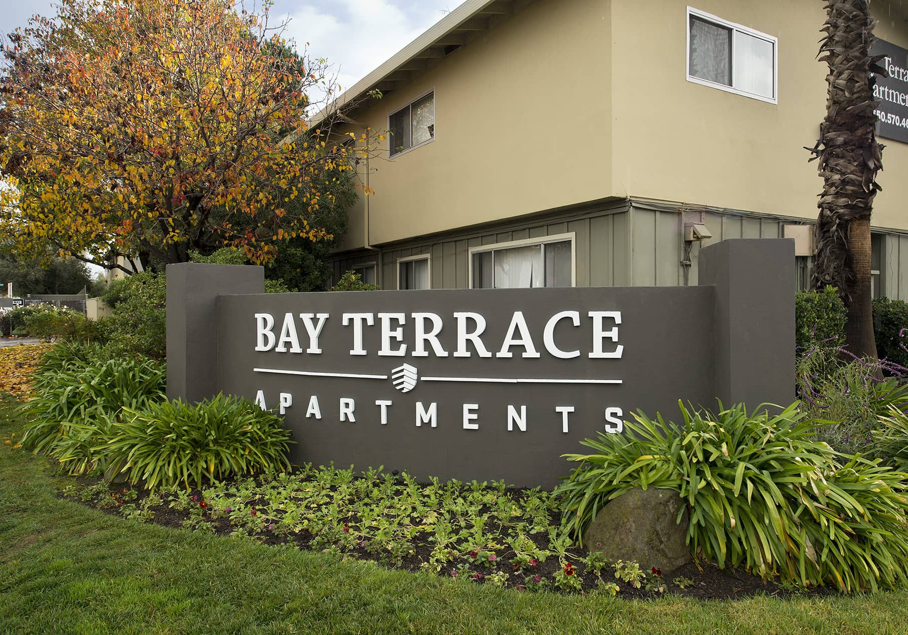 Photos and Tours of Bay Terrace San Mateo CA