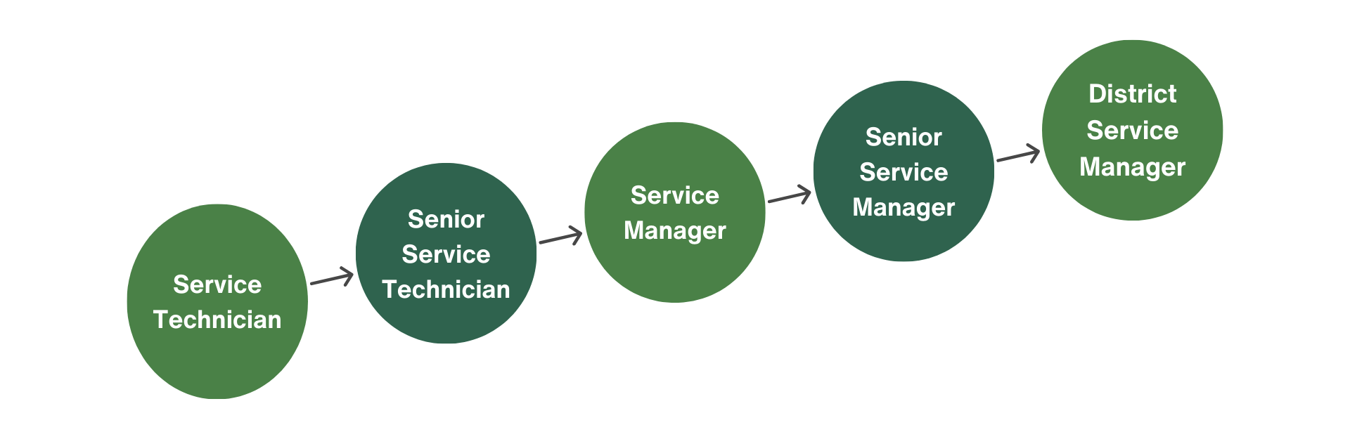 Service Team Path: Service Technician, Senior Service Technician, Service Manager, Senior Service Manager, District Service Manager